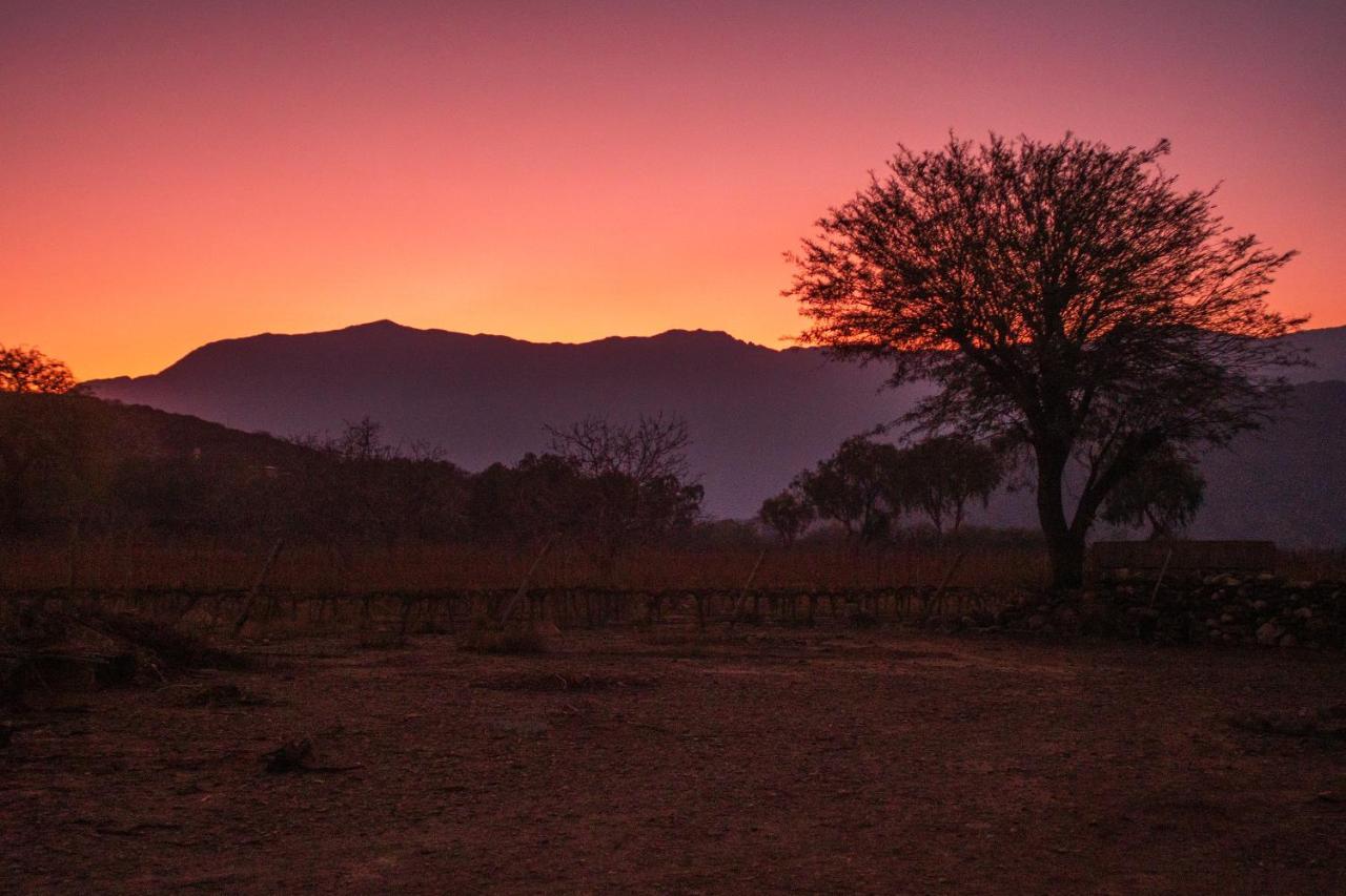 Hospedaje Finca La Encantada Seclantás Buitenkant foto