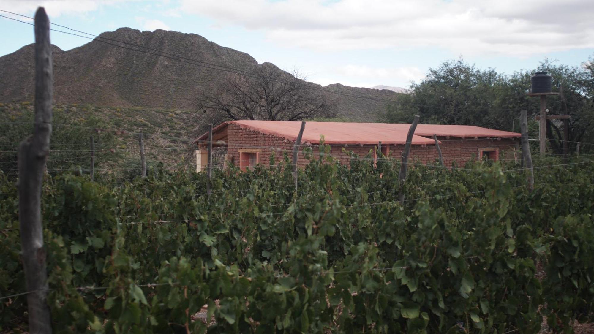 Hospedaje Finca La Encantada Seclantás Buitenkant foto