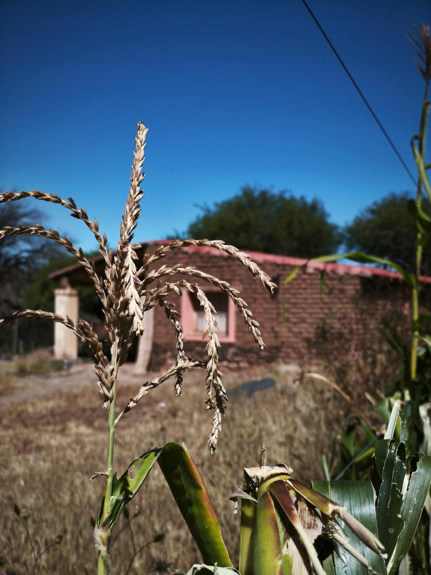 Hospedaje Finca La Encantada Seclantás Buitenkant foto